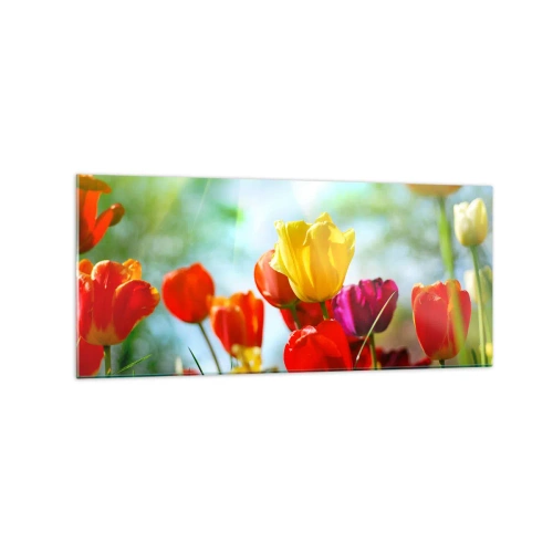 Obraz na szkle - Kolorowe tulipany w promieniach słońca - 120x50cm - Wszystkie barwy słońca - Nowoczesna dekoracja ścienna do salonu i sypialni ARTTOR