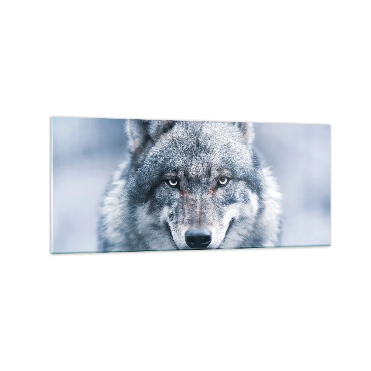 Obraz na szkle - Wilk z intensywnym spojrzeniem w zimowym krajobrazie - 120x50cm - Podejmiesz wyzwanie? - Nowoczesna dekoracja ścienna do salonu i sypialni ARTTOR