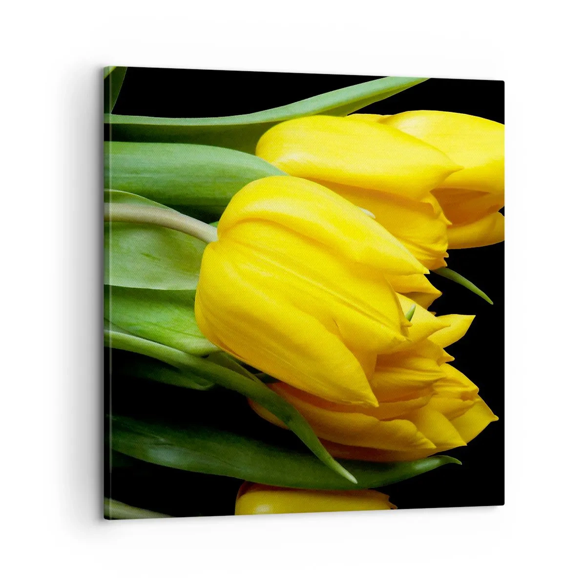 Obraz na płótnie - Powstały z czystego słońca - 60x60 cm