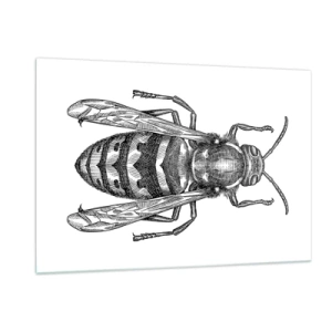Obraz na szkle - Czarno-biała ilustracja osy w stylu retro na białym tle - 120x80cm - Z owadziej planety - Nowoczesna dekoracja ścienna do salonu, kuchni i sypialni ARTTOR