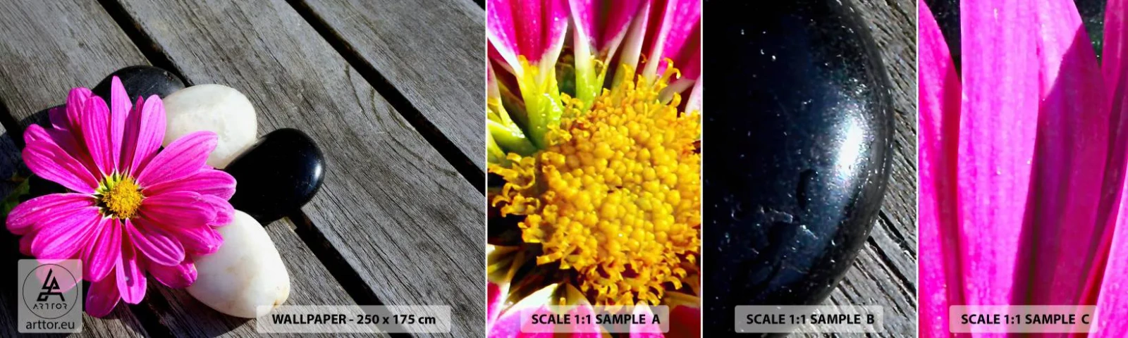 Fototapeta Próbka Standard Eco - Odpoczynek na pomoście - Kwiat, Kamienie , Drewniany Pomost - 100x30 cm