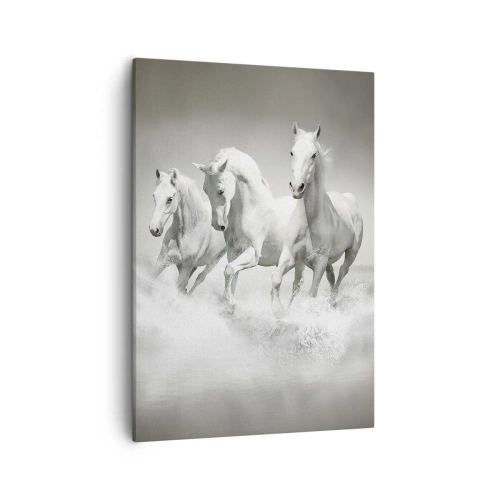 Obraz na płótnie - Trzy białe konie galopujące przez wodę na szarym tle - 50x70cm - Białe szaleństwo - Nowoczesna dekoracja ścienna do salonu, kuchni i sypialni ARTTOR