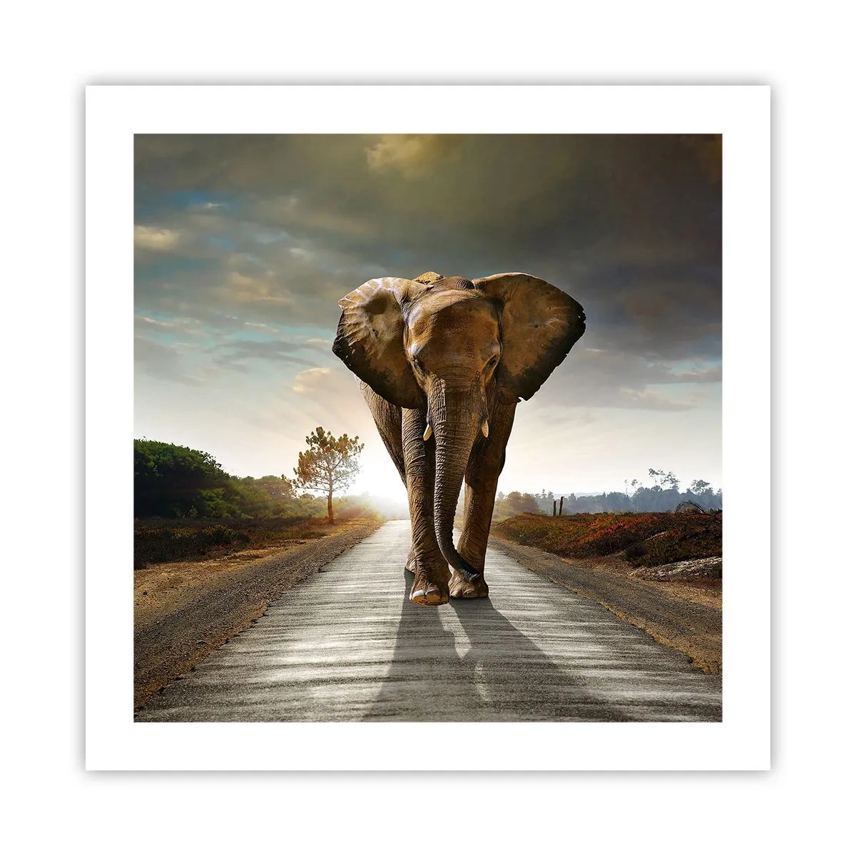 Plakat - I wcale nie w składzie porcelany - 50x50 cm