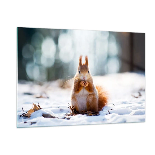 Obraz na szkle - Wiewiórka na śniegu z orzechem w zimowym lesie - 120x80cm - I co tak patrzysz? - Nowoczesna dekoracja ścienna do salonu, kuchni i sypialni ARTTOR