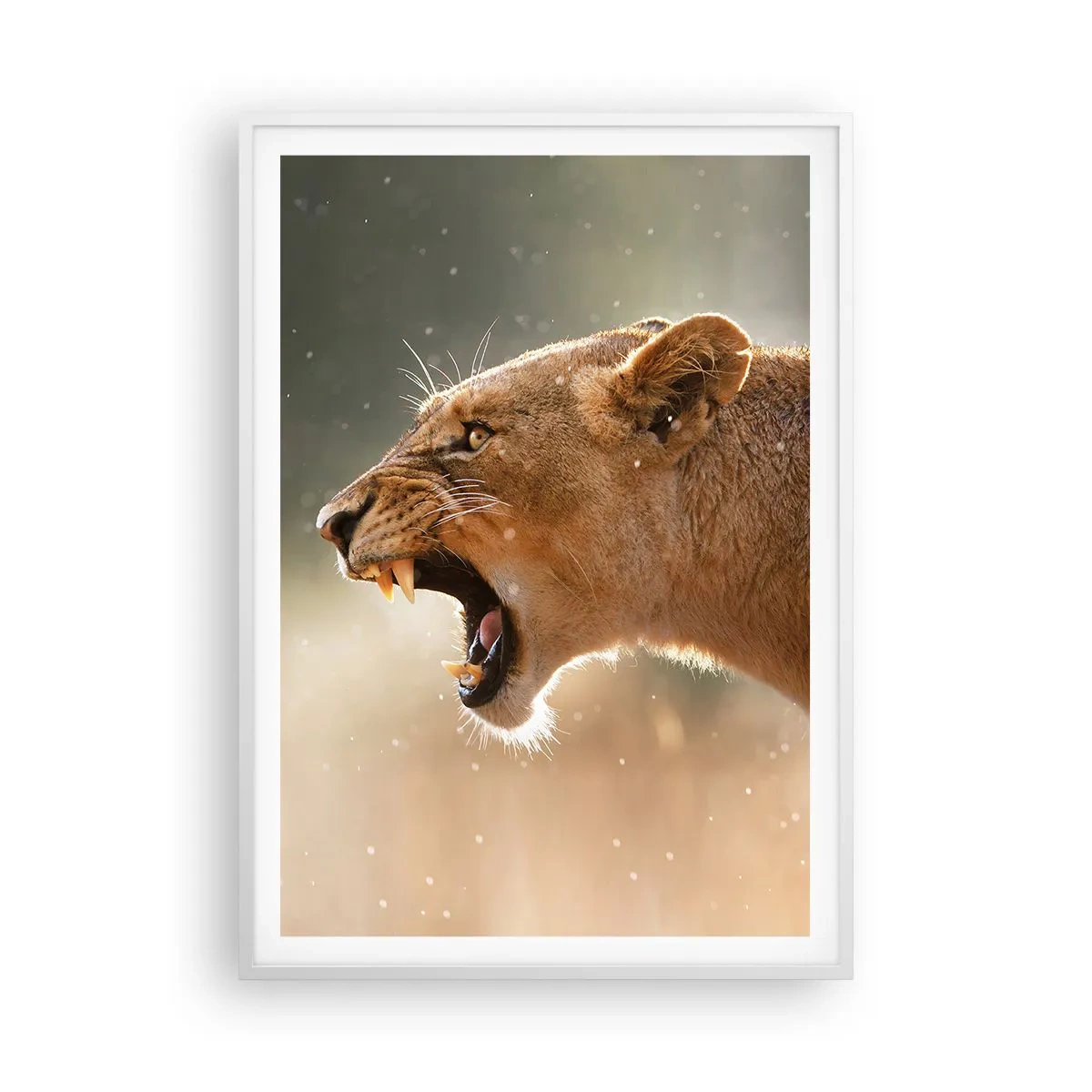 Plakat w białej ramie - Spróbuj nie posłuchać - 70x100 cm