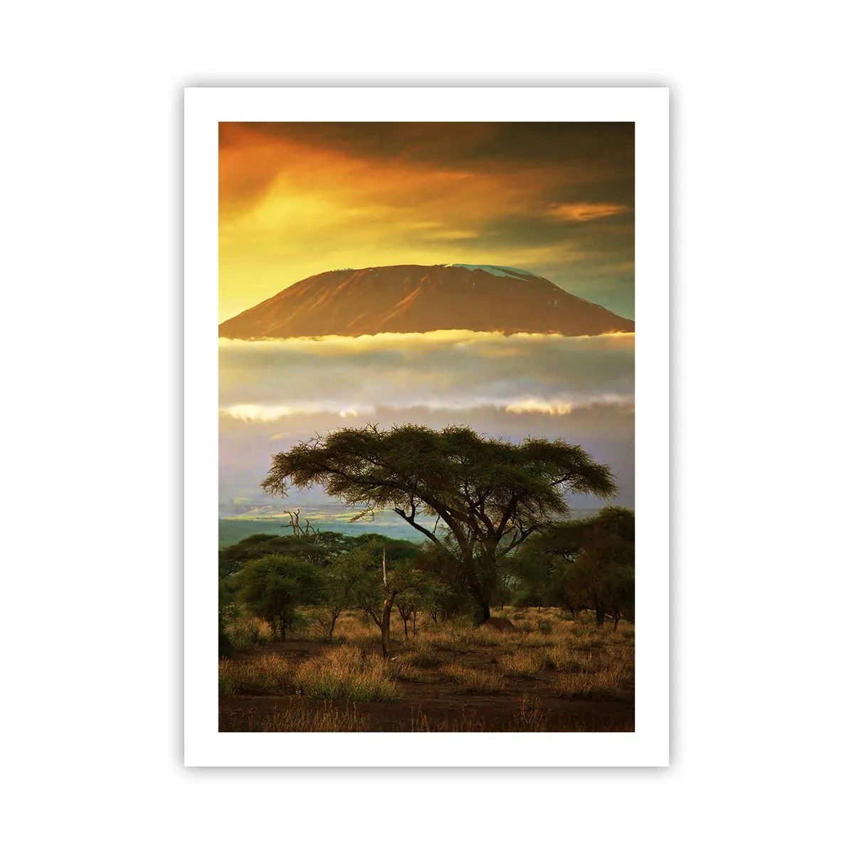Plakat - Kilimandżaro o zachodzie słońca wśród afrykańskiej sawanny - 50x70cm - Sen podróżnika - Nowoczesna dekoracja ścienna do salonu, kuchni i sypialni ARTTOR