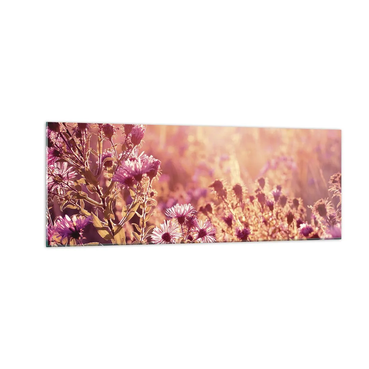 Obraz na szkle - Łąka w świetle zachodzącego słońca - 140x50cm - Przed odejściem lata - Nowoczesna dekoracja ścienna do salonu i sypialni ARTTOR