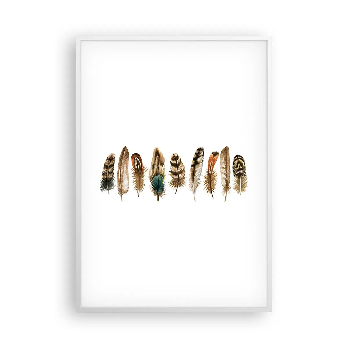 Plakat w białej ramie - Pierzasta wariacja - 70x100 cm