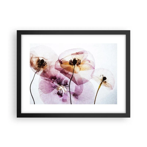 Plakat w czarnej ramie - Kwiatów ciała przezrocze - 40x30 cm