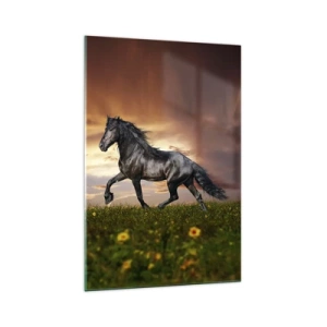 Obraz na szkle - Czarny koń galopujący na tle zachodzącego słońca - 70x100cm - Czarny książę - Nowoczesna dekoracja ścienna do salonu i sypialni ARTTOR