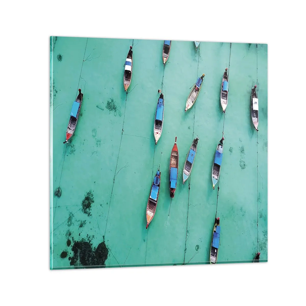 Obraz na szkle - W radosnym oczekiwaniu - 60x60 cm