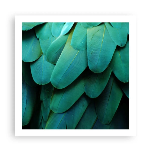 Plakat - Precyzja papuziej natury - 60x60 cm
