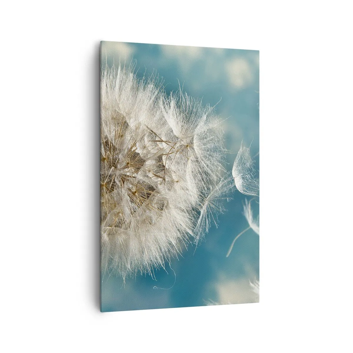 Obraz na płótnie - Zdmuchiwany dmuchawiec na tle niebieskiego nieba - 80x120cm - Oddech anioła - Nowoczesna dekoracja ścienna do salonu i sypialni ARTTOR