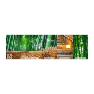 Fototapeta Próbka Standard Eco - Esencja azjatyckiej natury - Bambus, Las Bambusowy, Natura - 100x30 cm