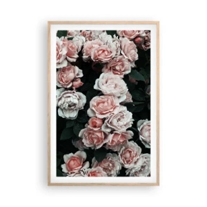 Plakat w ramie jasny dąb - Różany ansamble - 61x91 cm