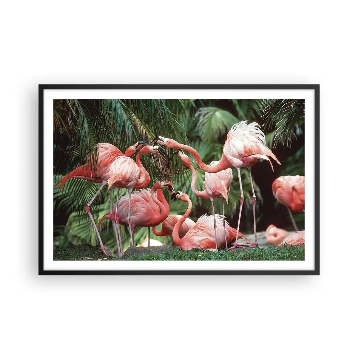 Plakat w czarnej ramie - Popołudniowe ploteczki - 91x61 cm