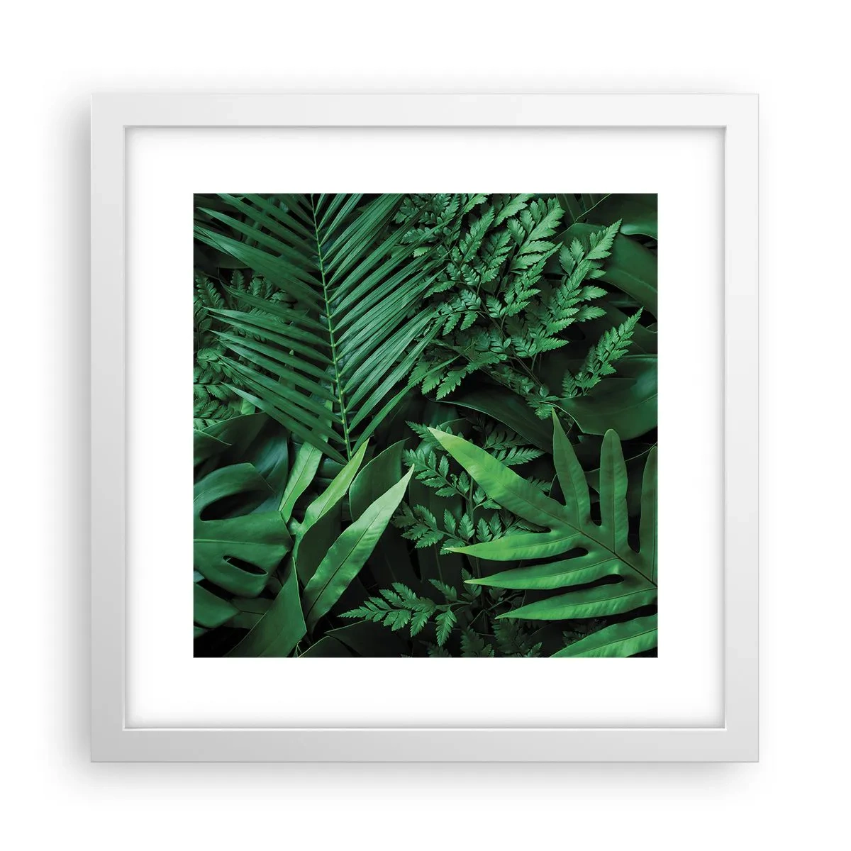 Plakat w białej ramie - Utulone w zieleni - 30x30 cm