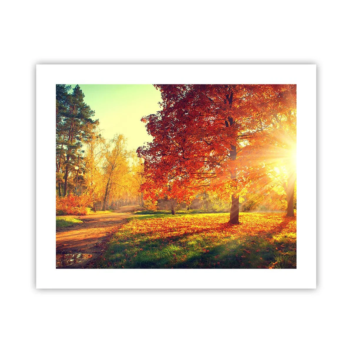 Plakat - Rude jest piękne - 50x40 cm