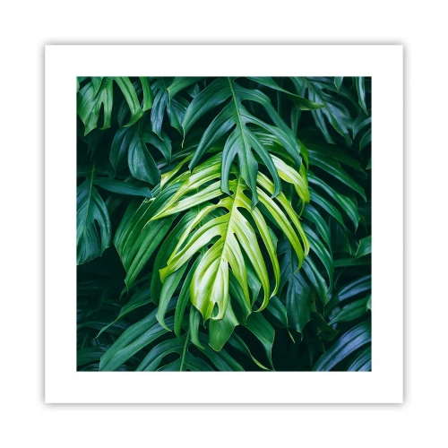 Plakat - Zanurzyć się w świeżości - 40x40 cm