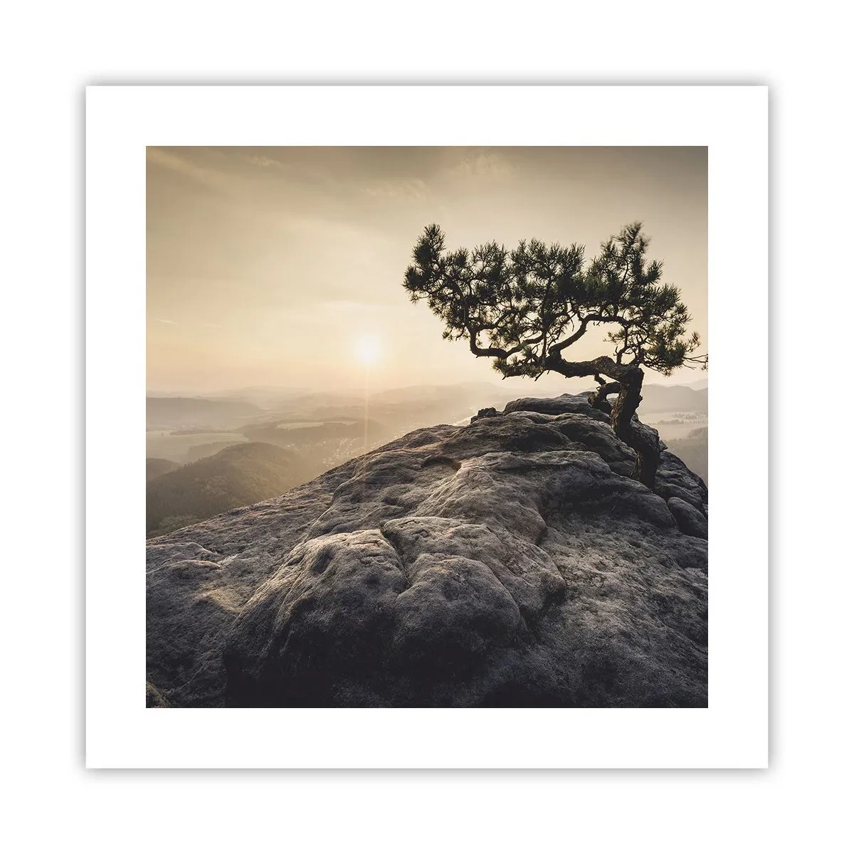 Plakat - Życie zawsze zwycięża - 40x40 cm