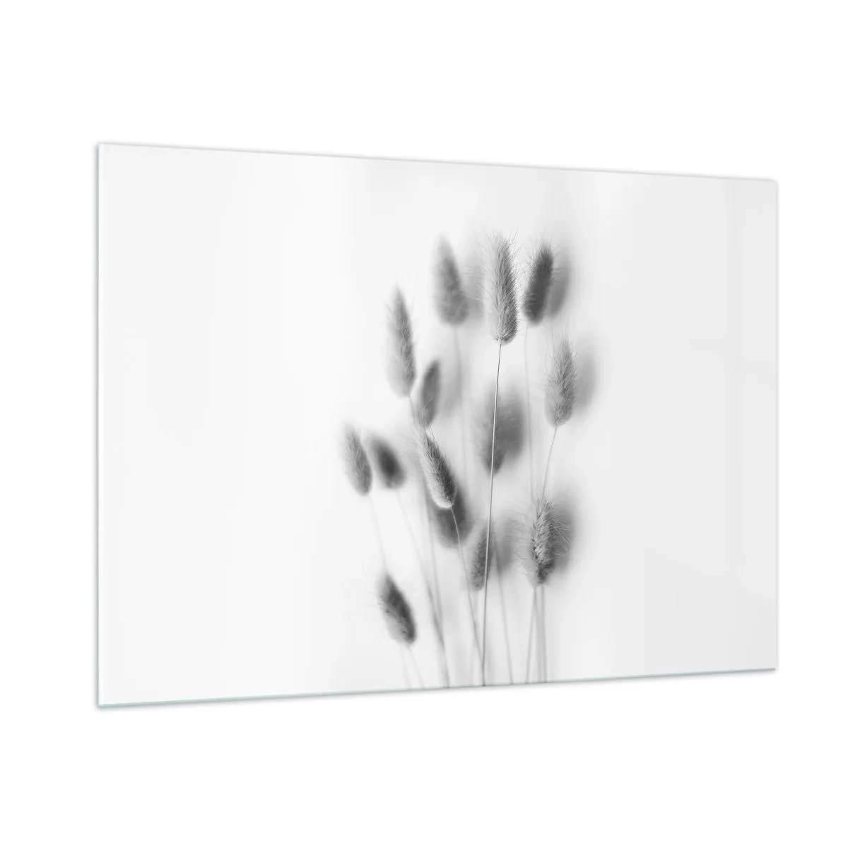 Obraz na szkle - Czarno-białe kłosy trawy na jasnym tle w stylu minimalistycznym - 100x70cm - Jej puszystość trawa - Nowoczesna dekoracja ścienna do salonu, kuchni i sypialni ARTTOR