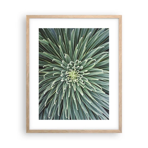 Plakat w ramie jasny dąb - Narodziny gwiazdy - 40x50 cm