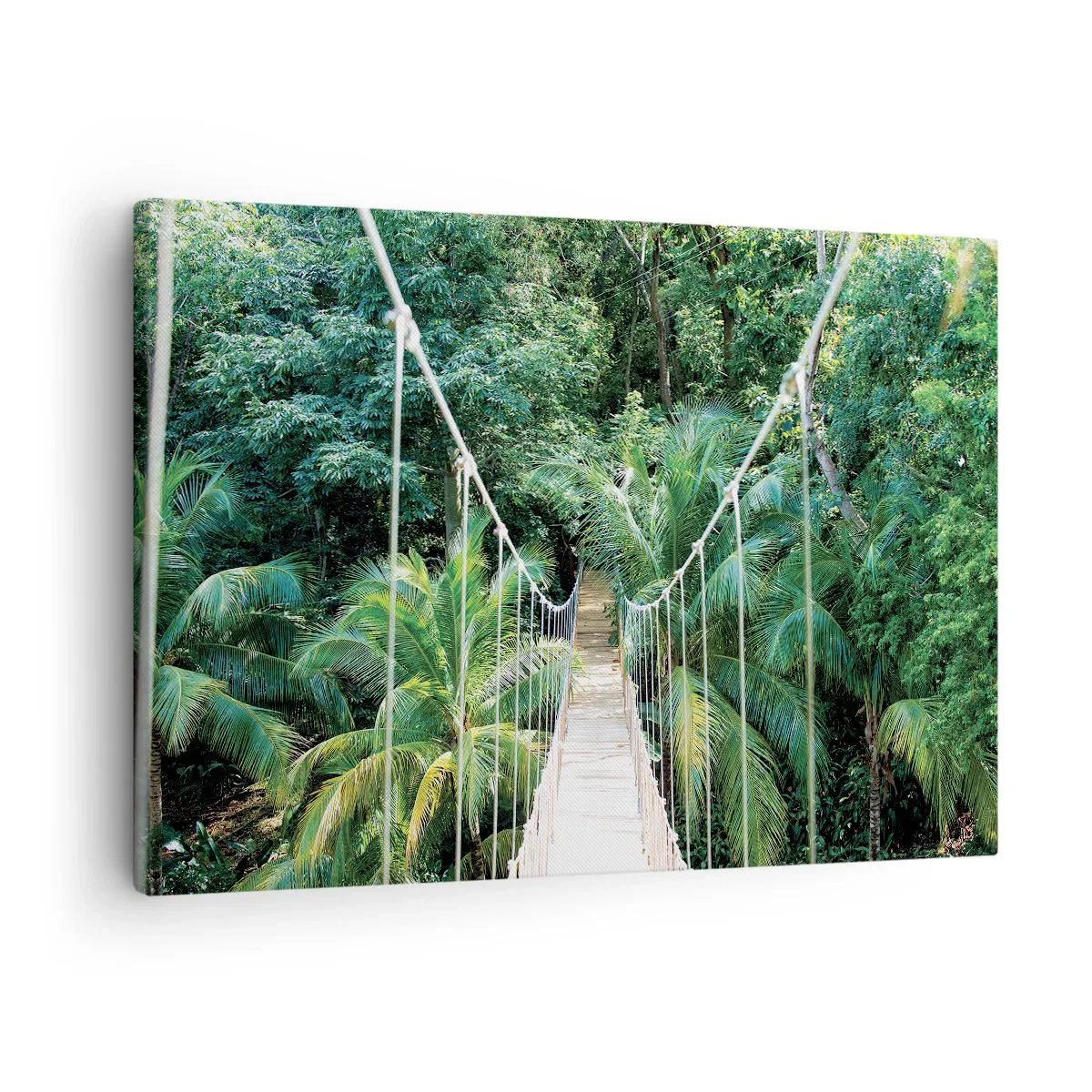 Obraz na płótnie - Wiszący most w tropikalnej dżungli pełnej zieleni - 70x50cm - Welcome to the jungle! - Nowoczesna dekoracja ścienna do salonu i sypialni ARTTOR
