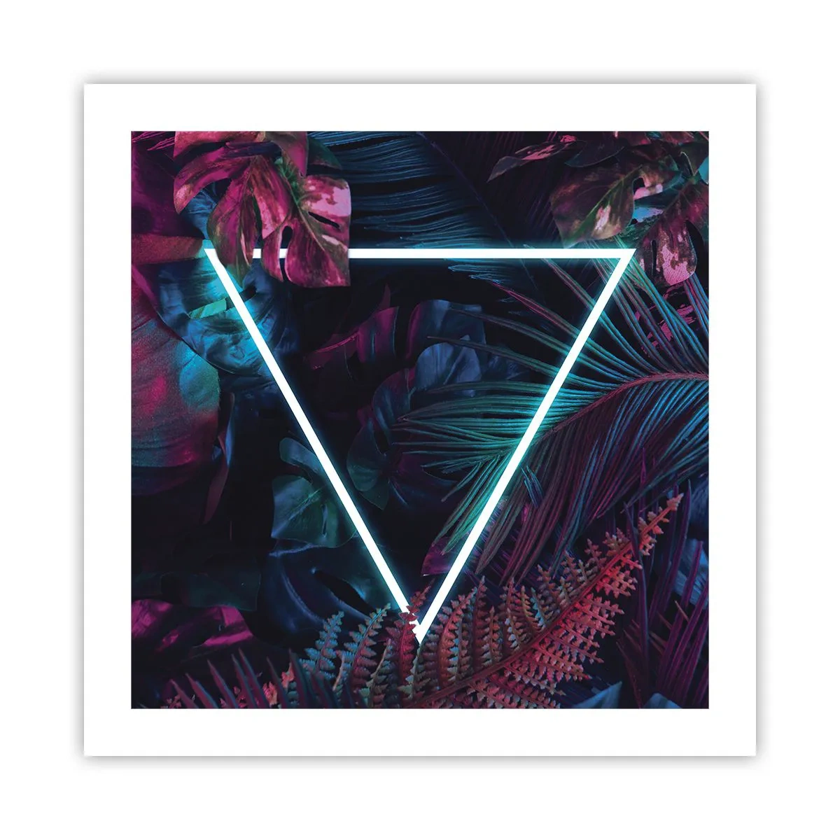 Plakat - Ogród w stylu disco - 50x50 cm
