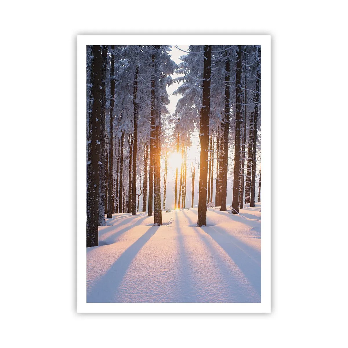 Plakat - Wyraźnie czarno na białym - 70x100 cm