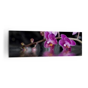 Obraz na płótnie - Fioletowe orchidee nad spokojną wodą na tle czarnym - 160x50cm - Liliowe odbicie piękna - Nowoczesna dekoracja ścienna do salonu i sypialni ARTTOR