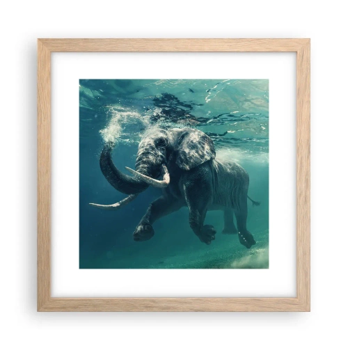 Plakat w ramie jasny dąb - Wszyscy lubią pływać - 30x30 cm