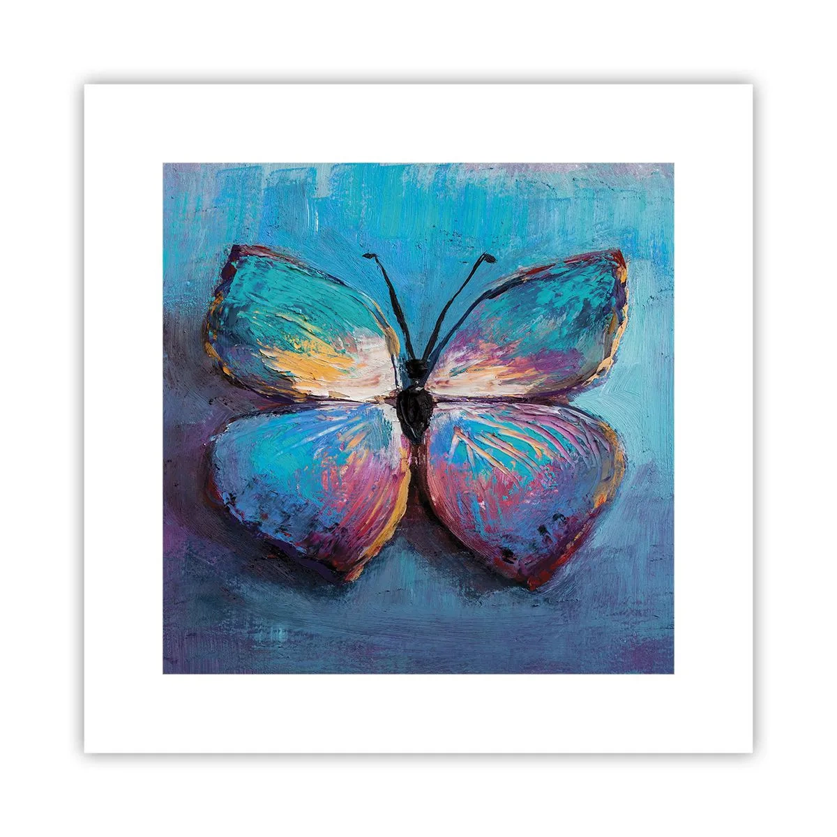 Plakat - W pełnej krasie - 30x30 cm