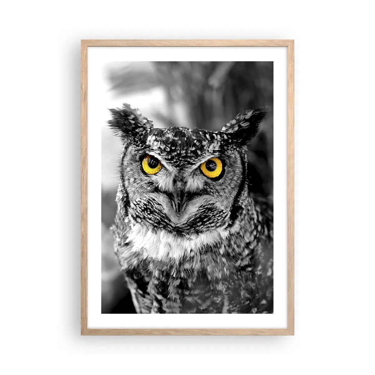 Plakat w ramie jasny dąb - Nic się nie ukryje - 50x70 cm