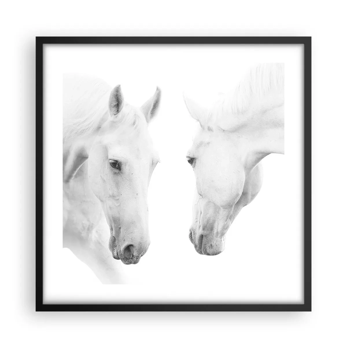 Plakat w czarnej ramie - Czy to jest przyjaźń…? - 50x50 cm