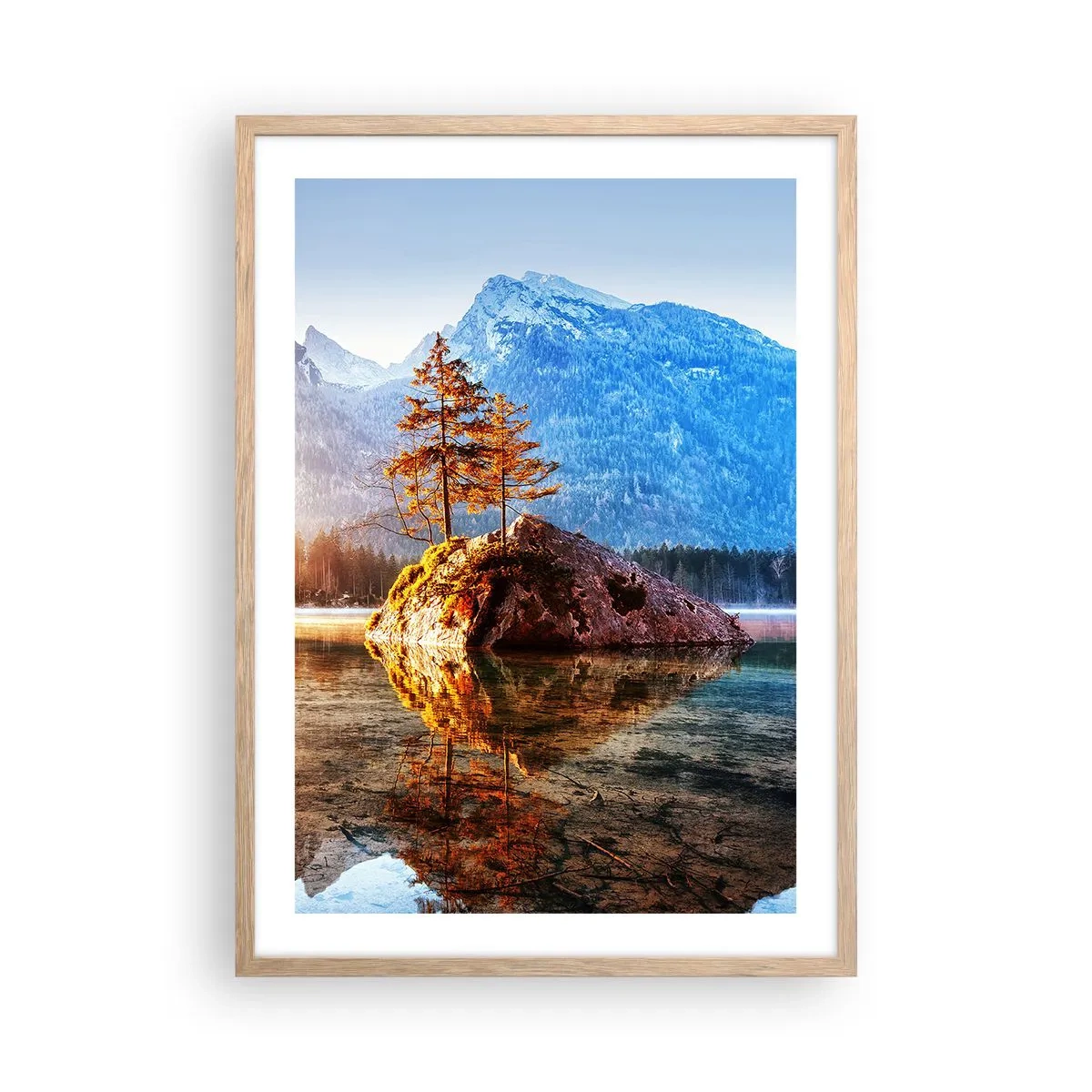Plakat w ramie jasny dąb - Natura w nowym świetle - 50x70 cm