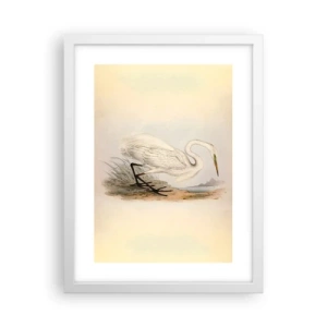 Plakat w białej ramie - Pani na szuwarach - 30x40 cm