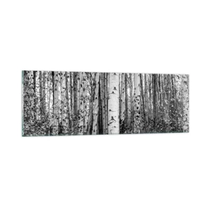 Obraz na szkle - Brzozowa kolumnada - 90x30 cm