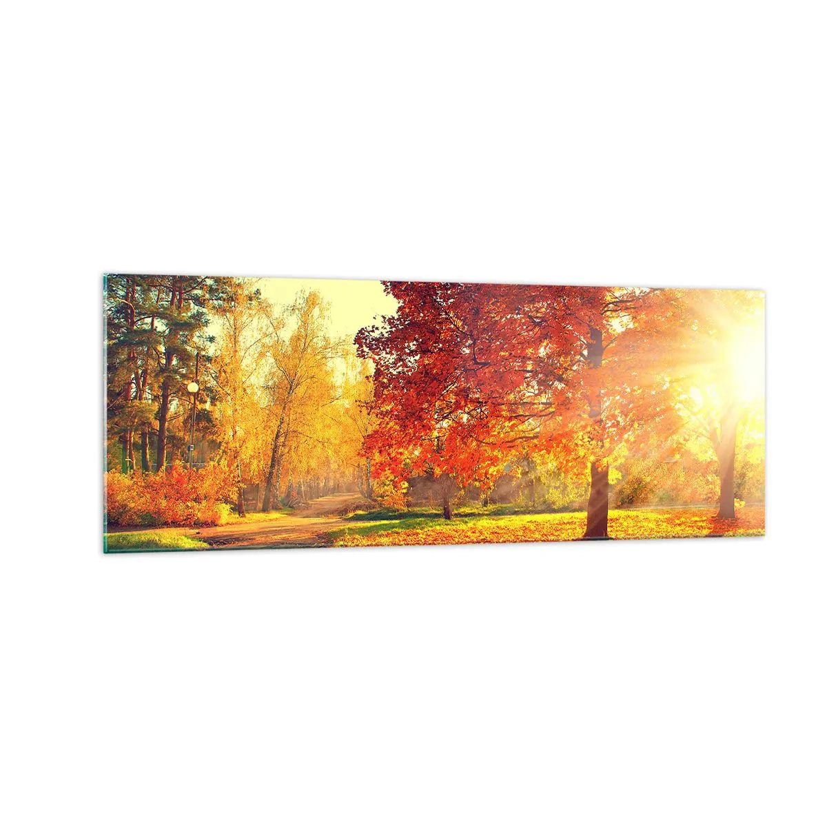 Obraz na szkle - Jesienny park oświetlony promieniami słońca - 140x50cm - Rude jest piękne - Nowoczesna dekoracja ścienna do salonu i sypialni ARTTOR