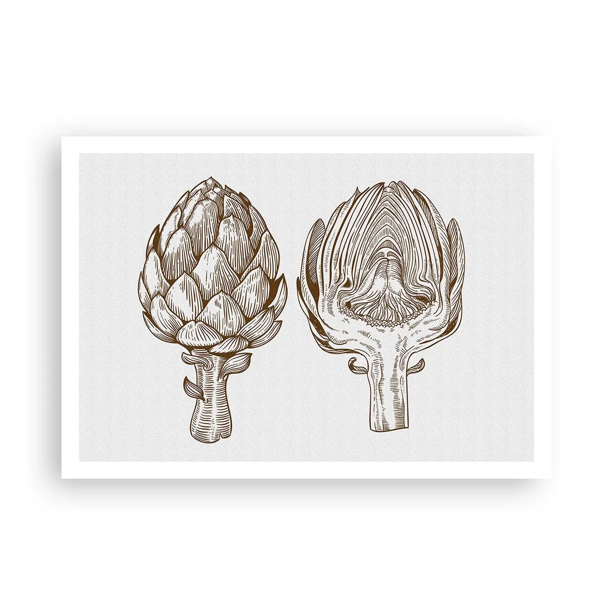 Plakat - Rysunek artystyczny karczocha w stylu vintage - 100x70cm - Lekcja anatomii - Nowoczesna dekoracja ścienna do salonu i sypialni ARTTOR