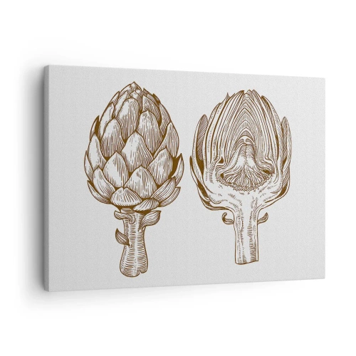 Obraz na płótnie - Rysunek artystyczny karczocha w stylu vintage - 70x50cm - Lekcja anatomii - Nowoczesna dekoracja ścienna do salonu i sypialni ARTTOR