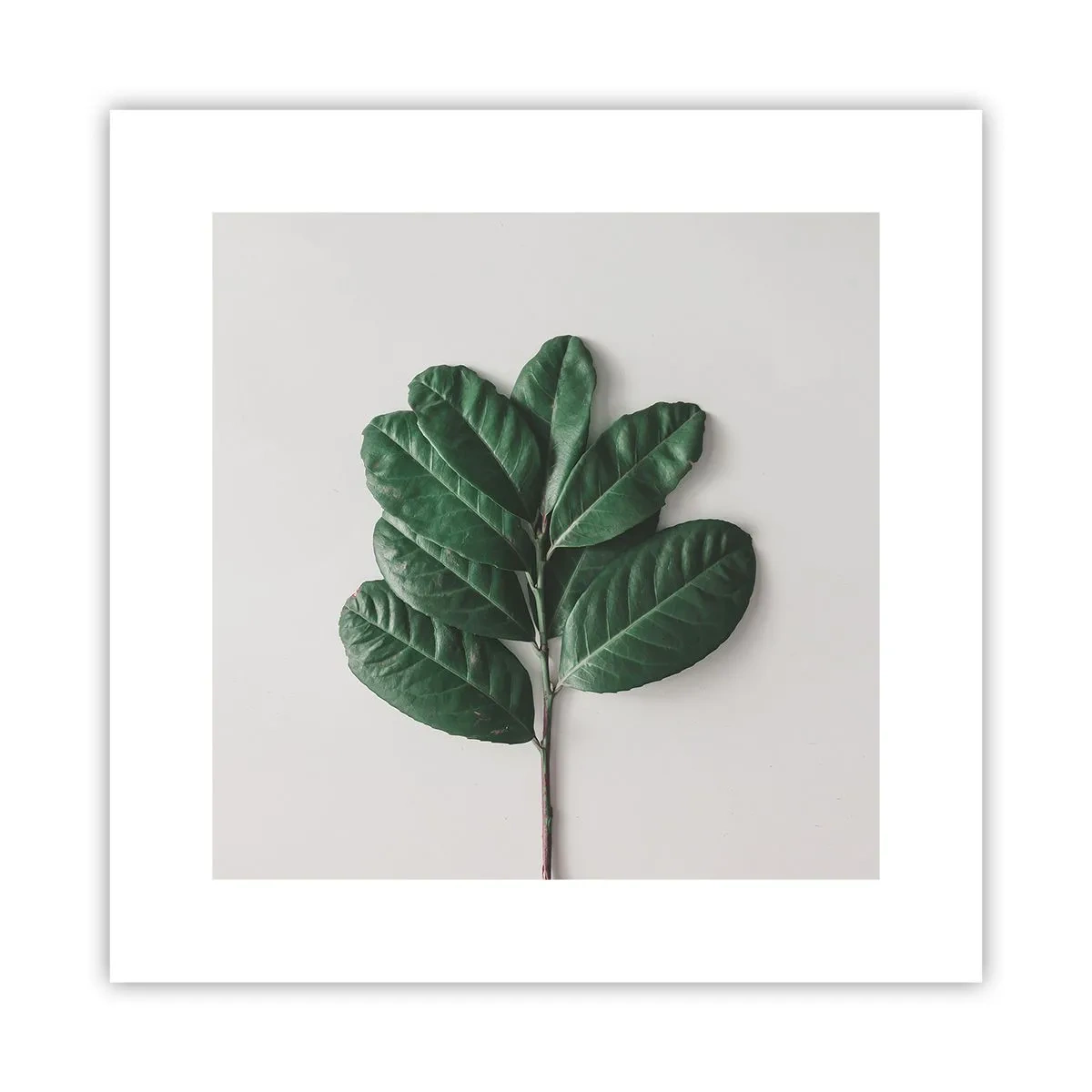 Plakat - Rysunek samej natury - 30x30 cm