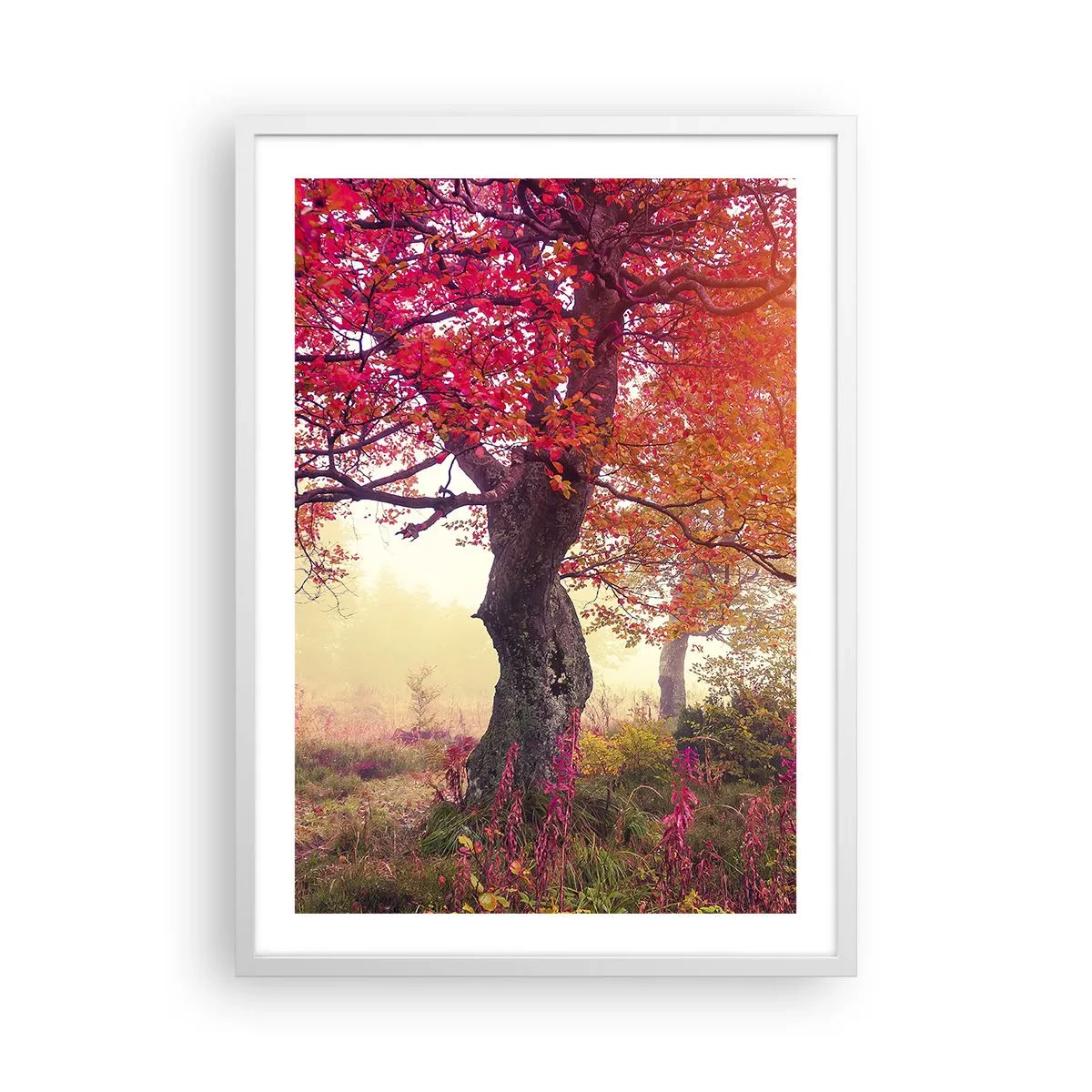 Plakat w białej ramie - Szał rozkwitu - 50x70 cm