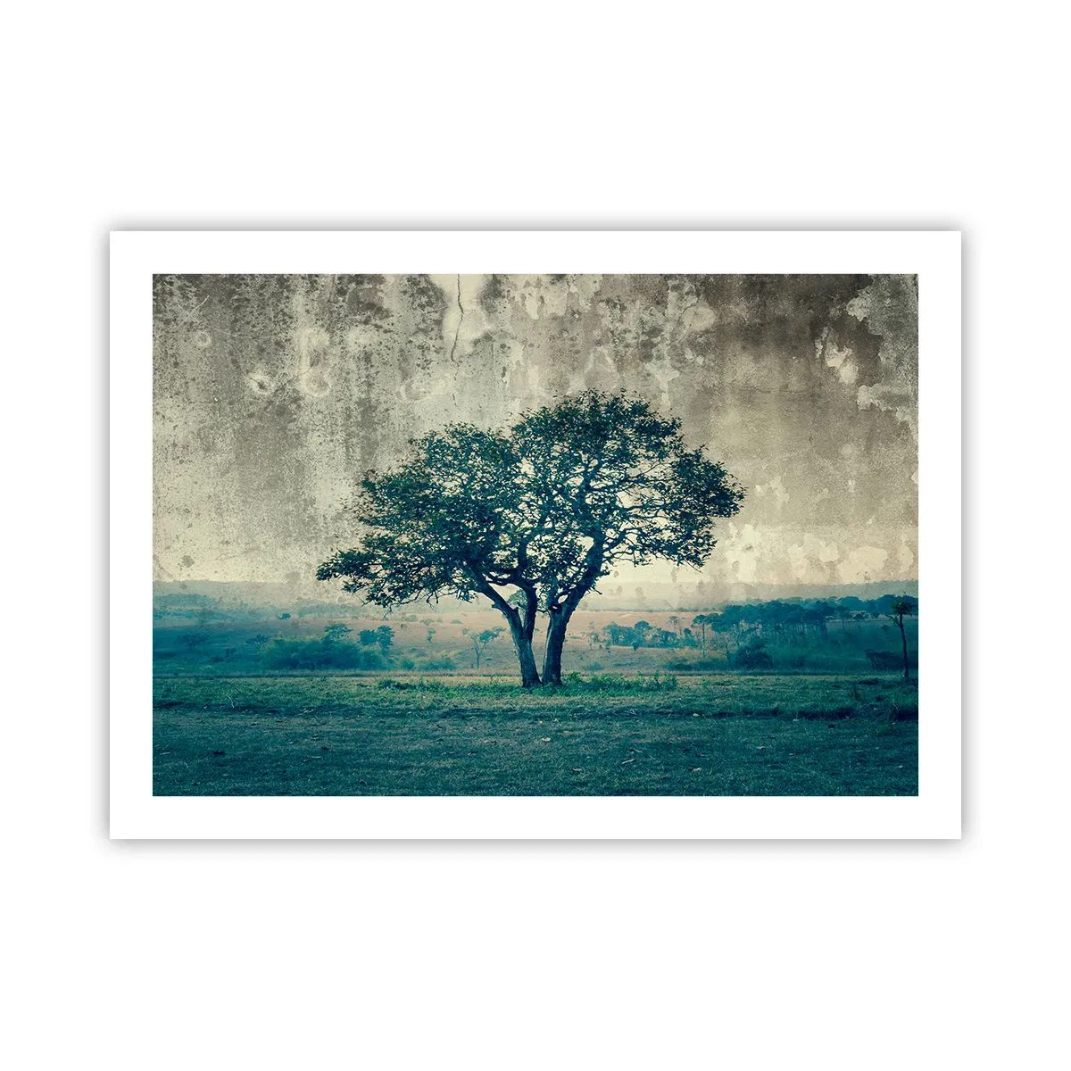 Plakat - Jabłoń na błękitnym błoniu? - 70x50 cm