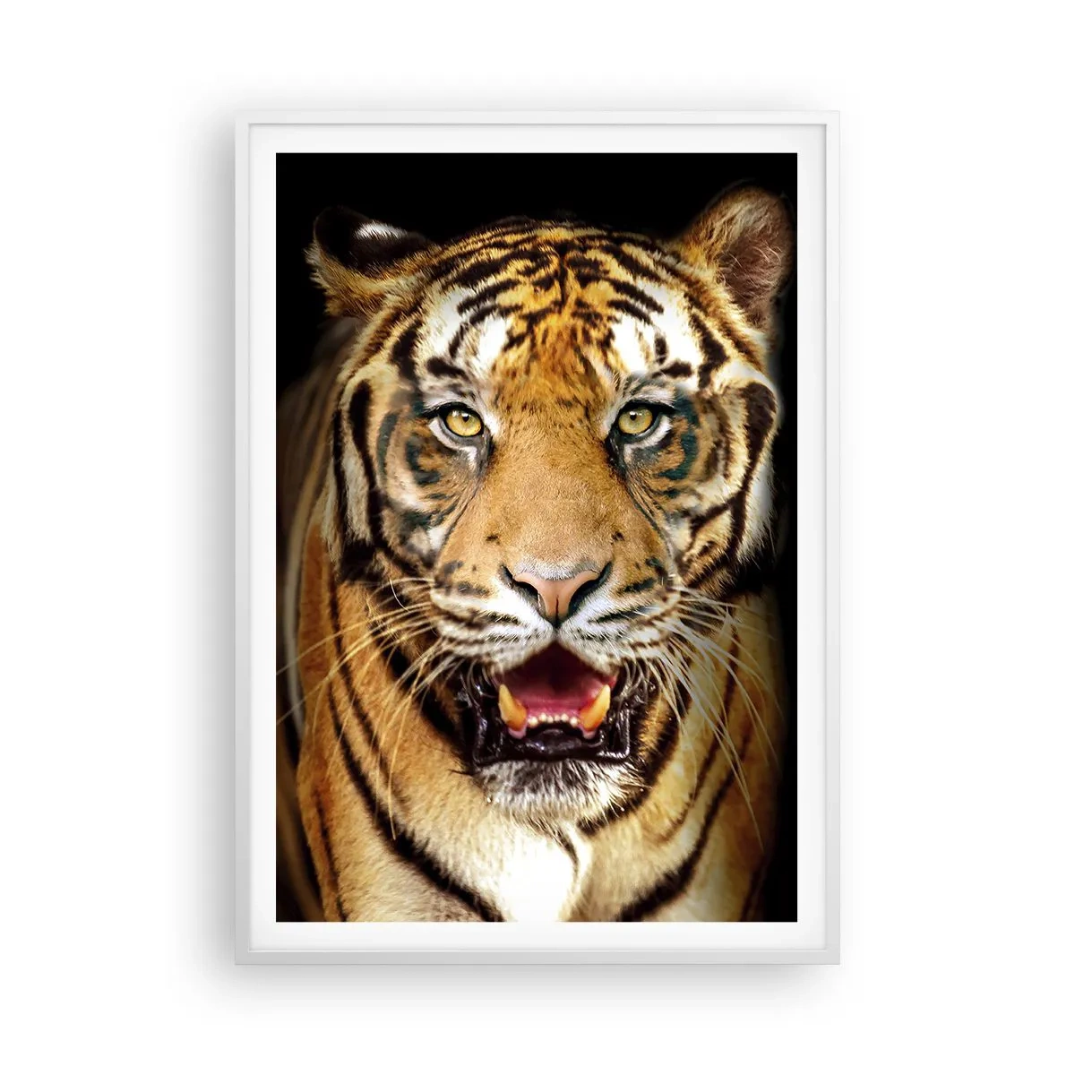 Plakat w białej ramie - Dzikość serca - 70x100 cm