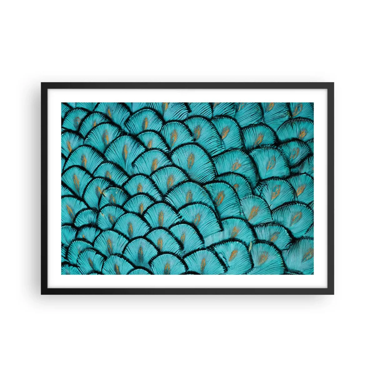 Plakat w czarnej ramie - Wzór przypominający turkusowe łuski z akcentami złota - 70x50cm - Wielka gala piór - Nowoczesna dekoracja ścienna do salonu i sypialni ARTTOR