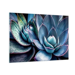 Obraz na szkle - Zbliżenie na soczyście zielone liście sukulentów - 70x50cm - Witalna siła - Nowoczesna dekoracja ścienna do salonu i sypialni ARTTOR