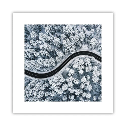Plakat - Przez zimowy las - 30x30 cm