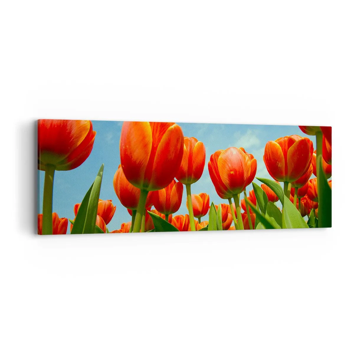 Obraz na płótnie - Oprócz błękitnego nieba nic im w życiu nie potrzeba - 90x30 cm