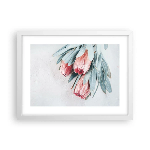 Plakat w białej ramie - Zawstydzone własną urodą - 40x30 cm