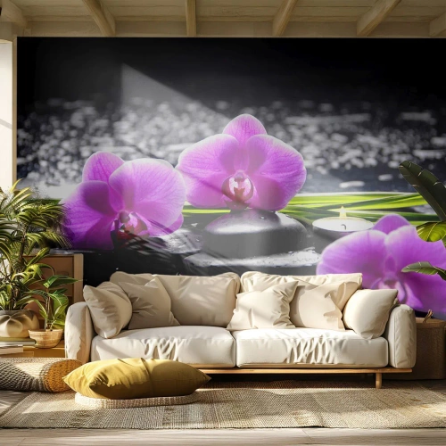 Fototapeta Samoprzylepna Deluxe Sticker - Utonąć w ciszy i spokoju - Kwiaty, Orchidea, Storczyk - 250x175 cm